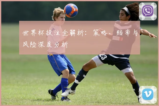 世界杯投注全解析:策略、赔率与风险深度分析