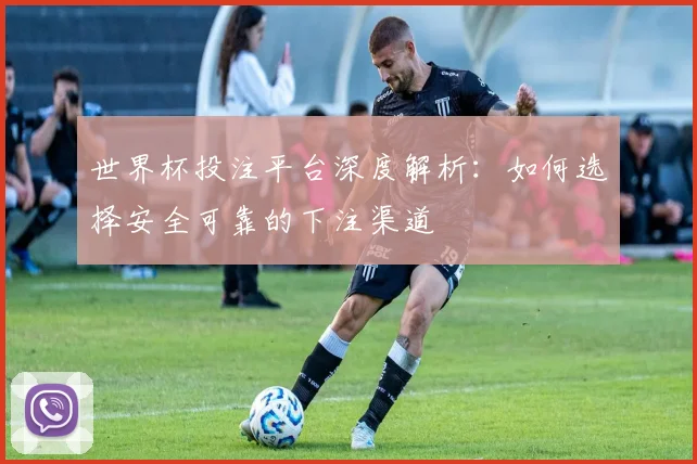 世界杯投注平台深度解析：如何选择安全可靠的下注渠道