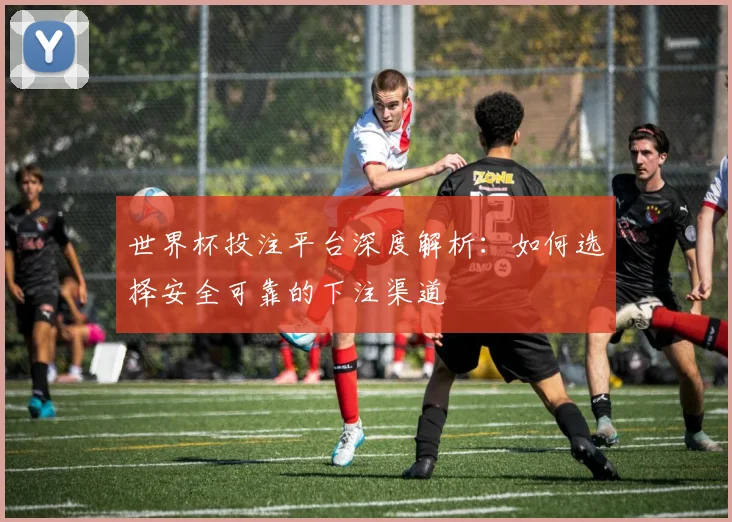 世界杯投注平台深度解析:如何选择安全可靠的下注渠道