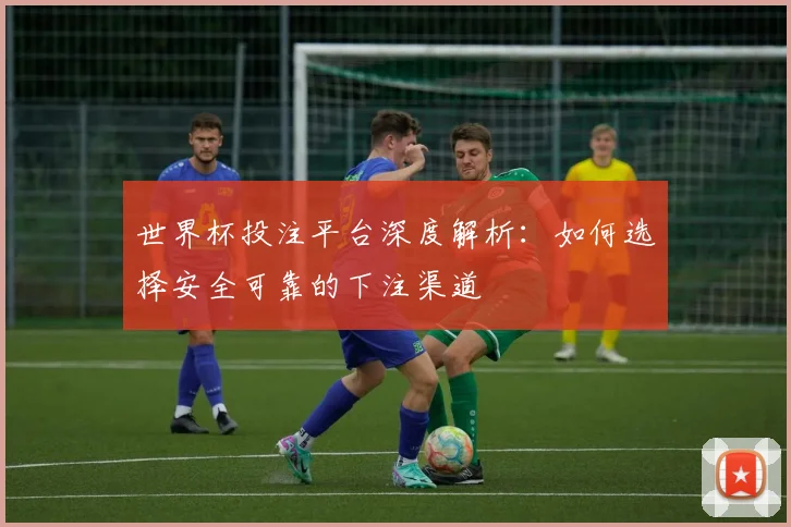 世界杯投注平台深度解析:如何选择安全可靠的下注渠道