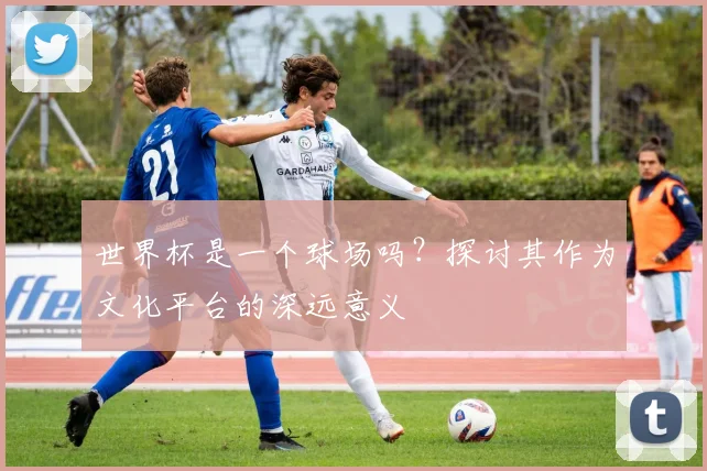 世界杯是一个球场吗?探讨其作为文化平台的深远意义