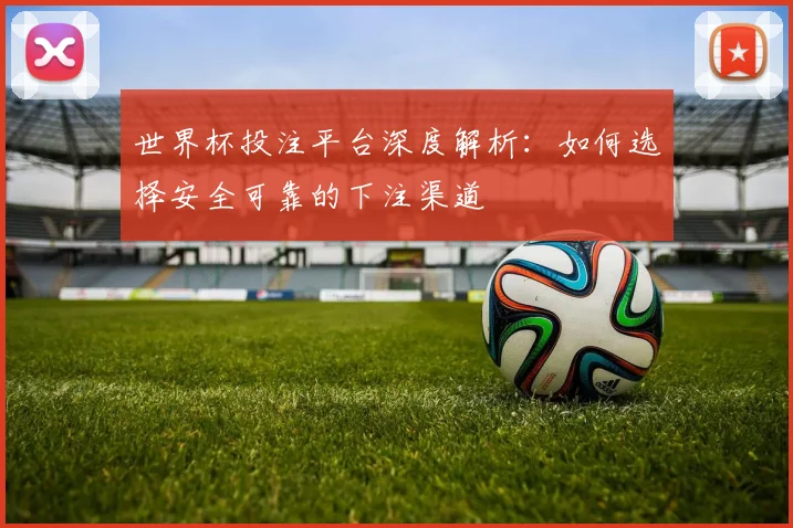 世界杯投注平台深度解析：如何选择安全可靠的下注渠道