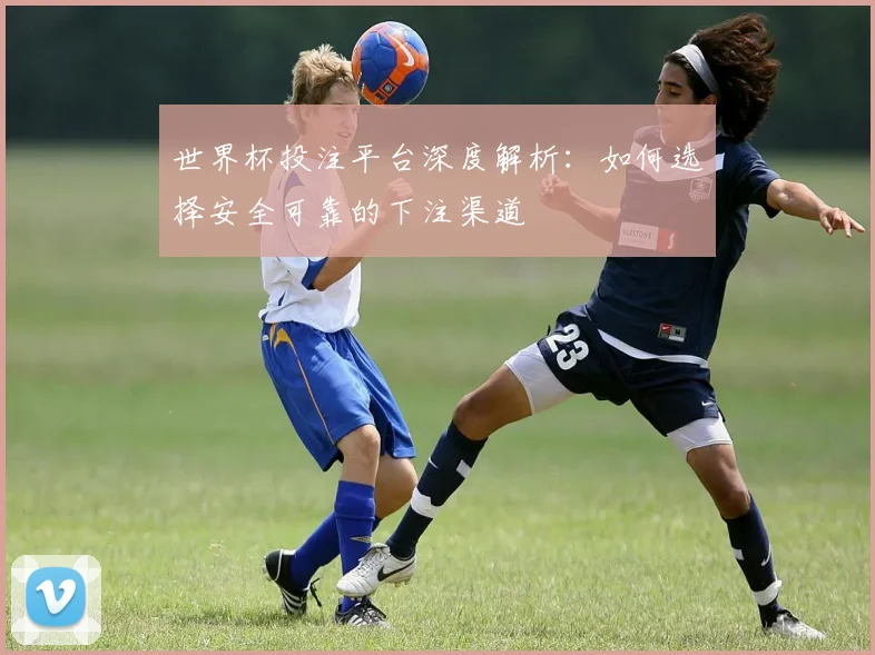 世界杯投注平台深度解析:如何选择安全可靠的下注渠道