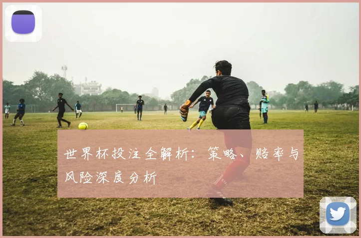 世界杯投注全解析:策略、赔率与风险深度分析