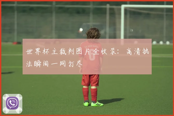世界杯主裁判图片全收录:高清执法瞬间一网打尽