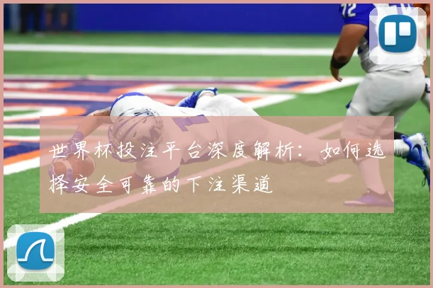 世界杯投注平台深度解析：如何选择安全可靠的下注渠道