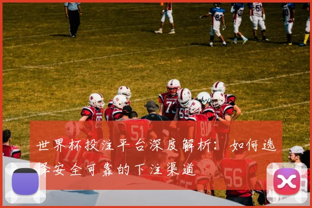 世界杯投注平台深度解析：如何选择安全可靠的下注渠道