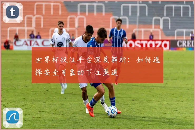 世界杯投注平台深度解析:如何选择安全可靠的下注渠道