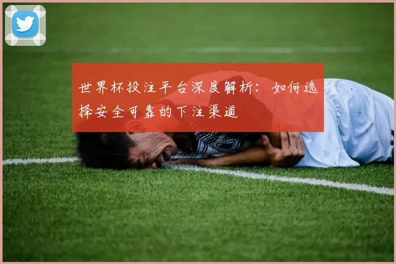 世界杯投注平台深度解析：如何选择安全可靠的下注渠道