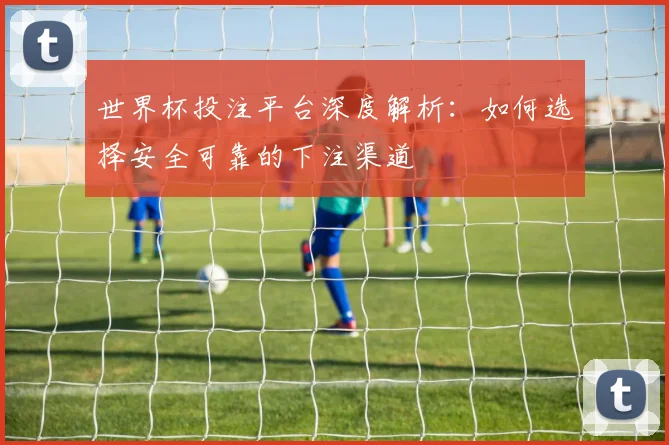 世界杯投注平台深度解析：如何选择安全可靠的下注渠道