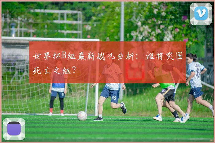 世界杯B组最新战况分析：谁将突围死亡之组？