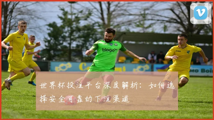 世界杯投注平台深度解析：如何选择安全可靠的下注渠道