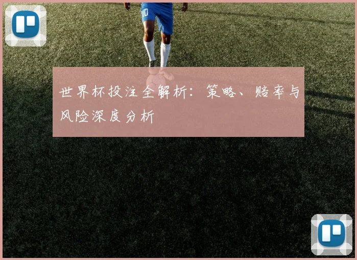 世界杯投注全解析：策略、赔率与风险深度分析
