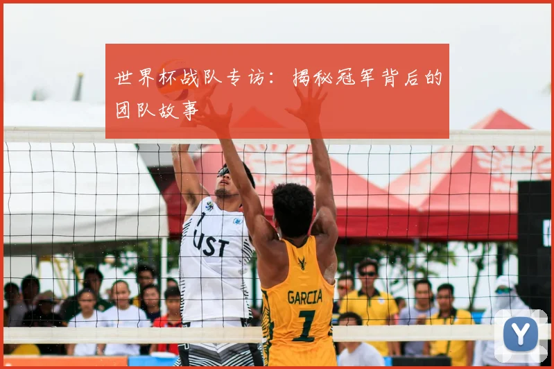 世界杯战队专访:揭秘冠军背后的团队故事