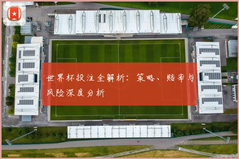 世界杯投注全解析:策略、赔率与风险深度分析