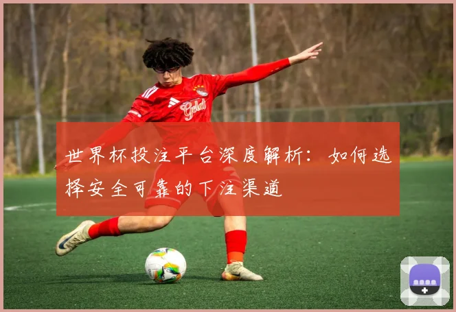 世界杯投注平台深度解析:如何选择安全可靠的下注渠道