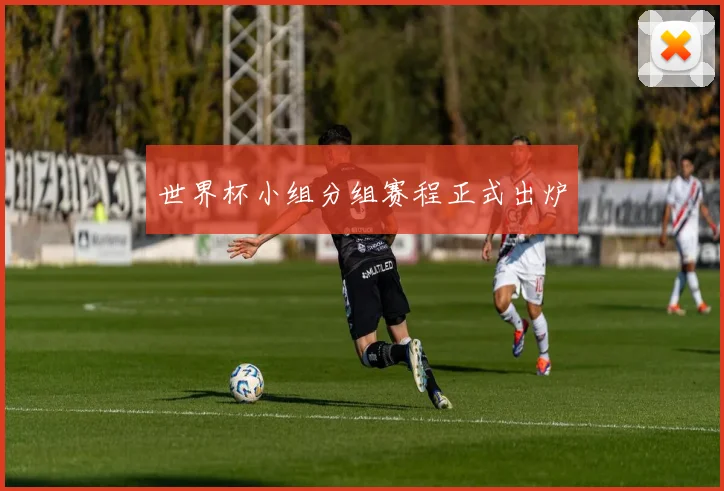 世界杯小组分组赛程正式出炉
