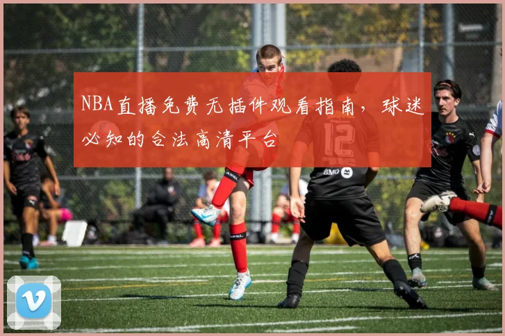 NBA直播免费无插件观看指南,球迷必知的合法高清平台