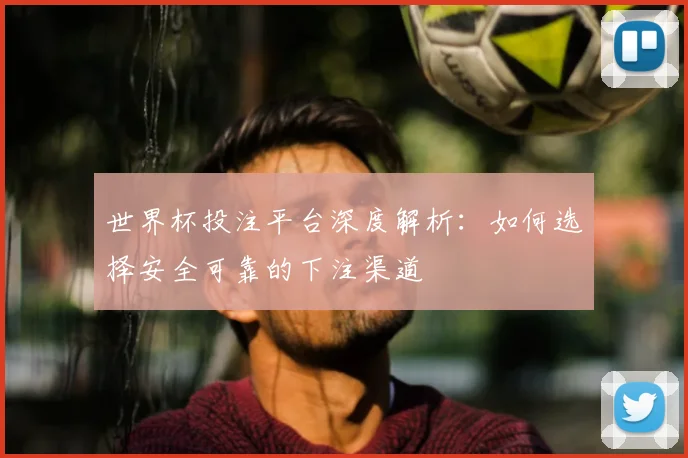 世界杯投注平台深度解析：如何选择安全可靠的下注渠道