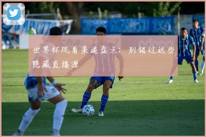 世界杯观看渠道盘点:别错过这些隐藏直播源