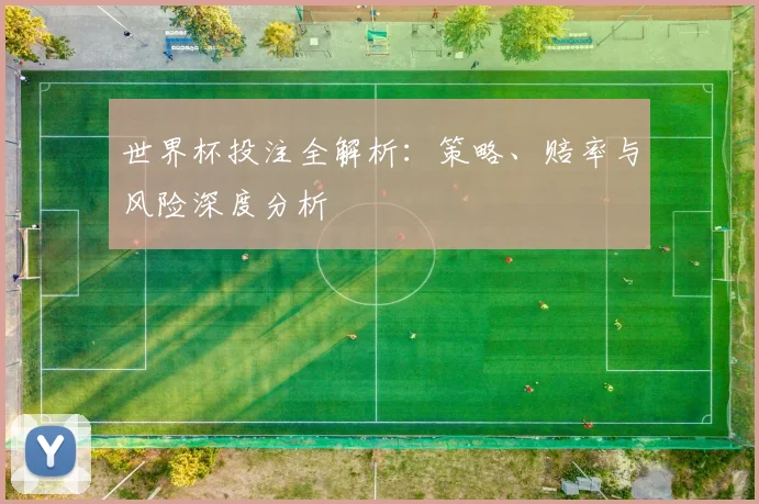世界杯投注全解析：策略、赔率与风险深度分析