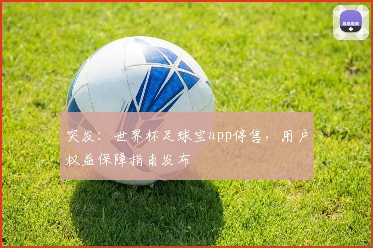 突发:世界杯足球宝app停售,用户权益保障指南发布