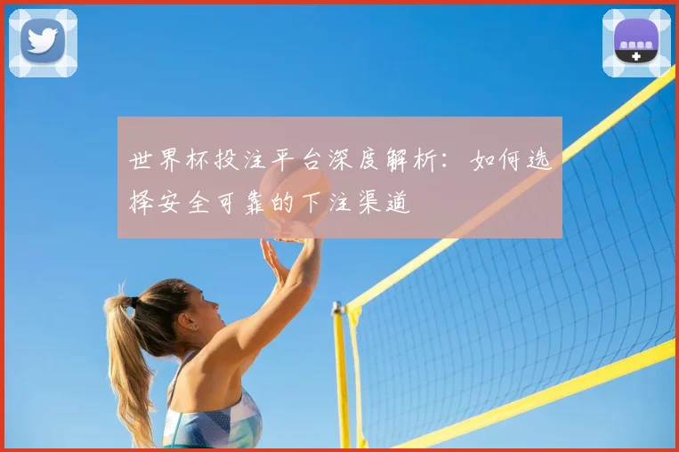 世界杯投注平台深度解析：如何选择安全可靠的下注渠道