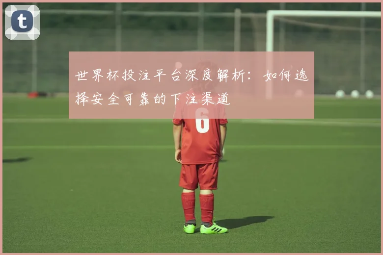 世界杯投注平台深度解析:如何选择安全可靠的下注渠道