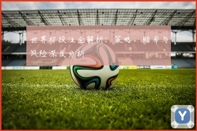 世界杯投注全解析:策略、赔率与风险深度分析