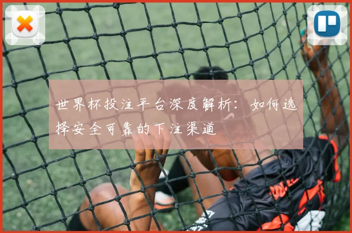 世界杯投注平台深度解析：如何选择安全可靠的下注渠道