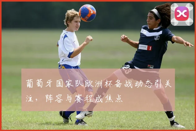 葡萄牙国家队欧洲杯备战动态引关注,阵容与赛程成焦点